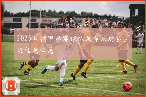 2025年德甲参赛球队数量及对应主场信息汇总