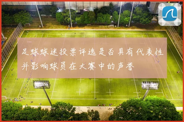 足球球迷投票评选是否具有代表性并影响球员在大赛中的声誉
