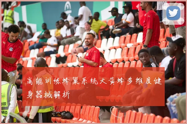 高能训练蜂巢系统大黄蜂多维度健身器械解析
