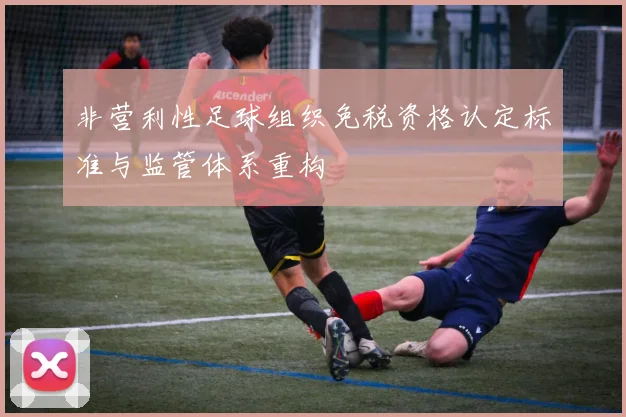 非营利性足球组织免税资格认定标准与监管体系重构