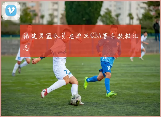福建男篮队员名单及CBA赛季数据汇总