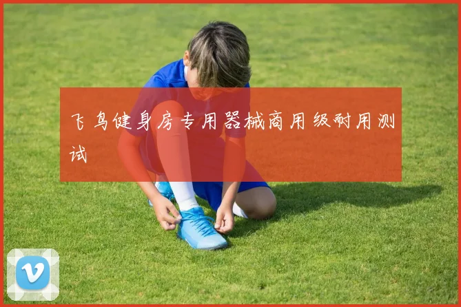 飞鸟健身房专用器械商用级耐用测试