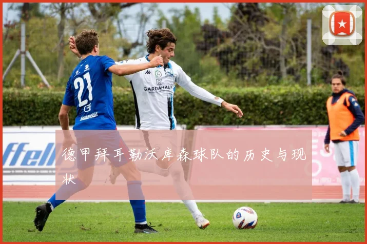 德甲拜耳勒沃库森球队的历史与现状