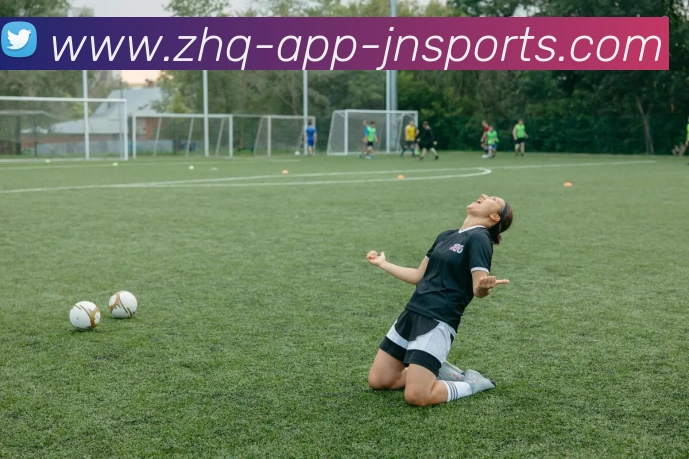 江南体育平台生态图